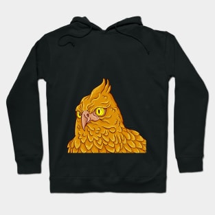 The eagle Hoodie